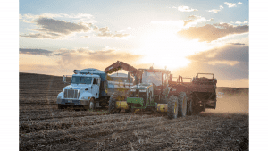 Eagle Eye Produce to Ship New Crop Potatoes & Onions