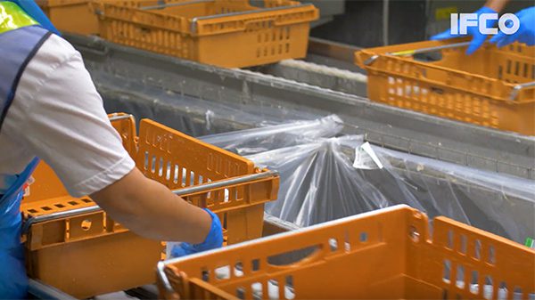 IFCO verifies sanitation process effective against tomato virus