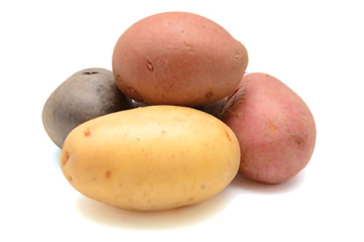 New crop yellow potatoes see lighter volumes, reds in good supply