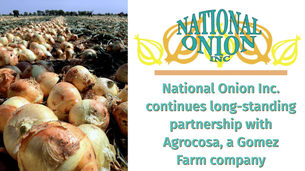 National Onion, Inc. kicks off 41st summer onion harvest