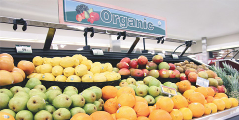 Organic grower groups sue USDA over hydroponic certification