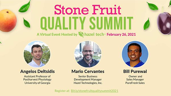 Hazel Tech to host inaugural virtual Stone Fruit Quality Summit