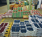 Vast_Varied Fresh Forum