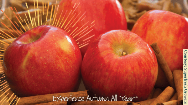 Autumn Glory apple outpacing other apples