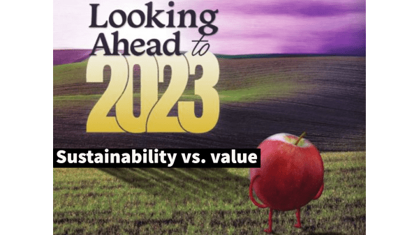 Looking Ahead to 2023: Sustainability vs. value