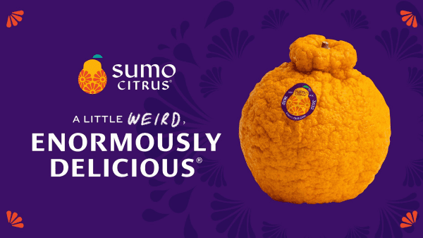 Sumo Citrus season starts with expanded distribution and new bags