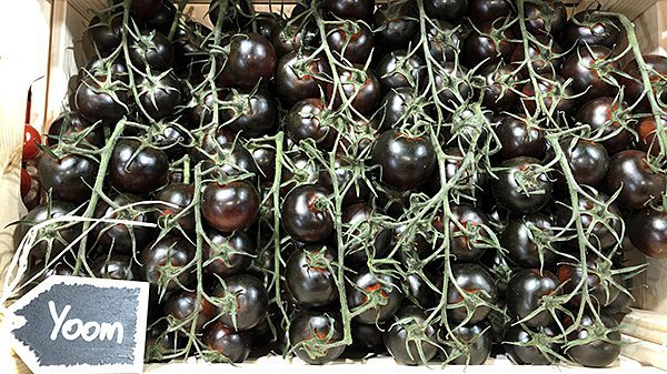 Black tomato wins Fruit Logistica Innovation Award