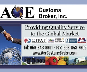 Ace-Customs_300x250