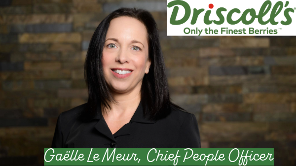 Driscoll’s appoints chief people officer