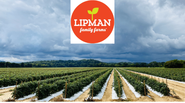 Lipman Family Farms acquires Shelton & Sons in Tennessee
