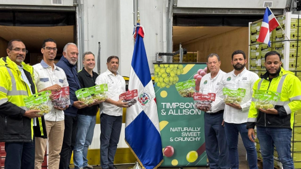 Dominican Republic ships first table grapes to U.S.