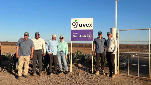 Dayka & Hackett expands grape program through Mexico partnership
