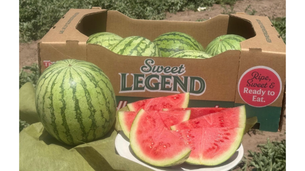 Legend Produce expands melon program with mini watermelons