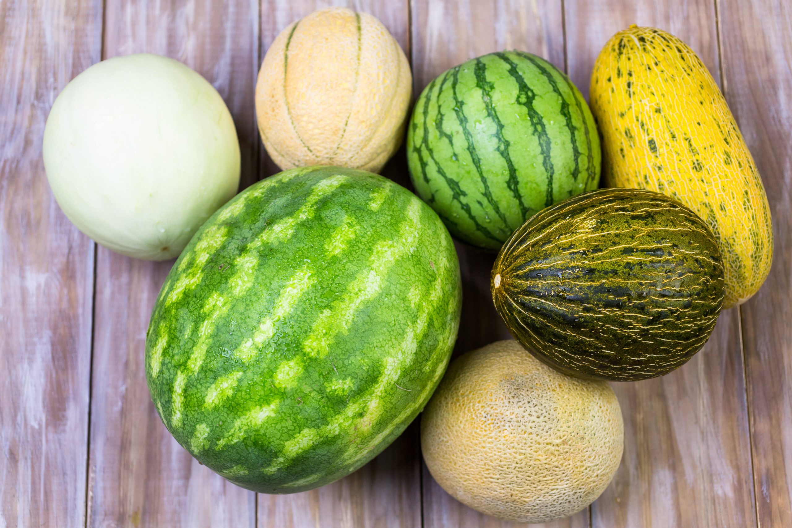 Spotlight on Melons: Kissed by the moon?