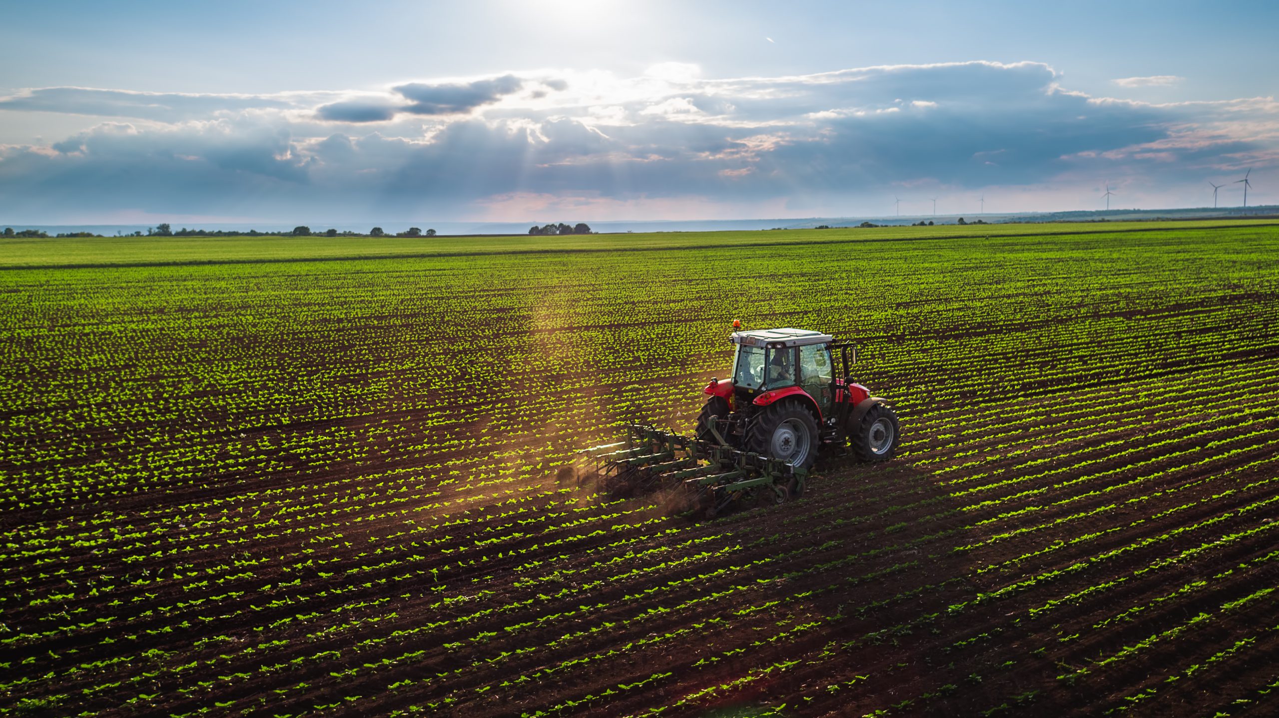 Technology Takes Root: Innovations sprout for grower-shippers