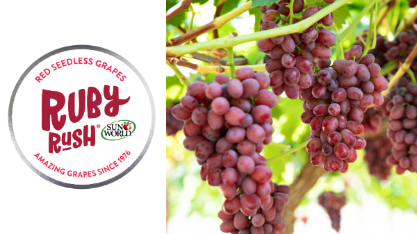 Sun World debuts Ruby Rush proprietary grape
