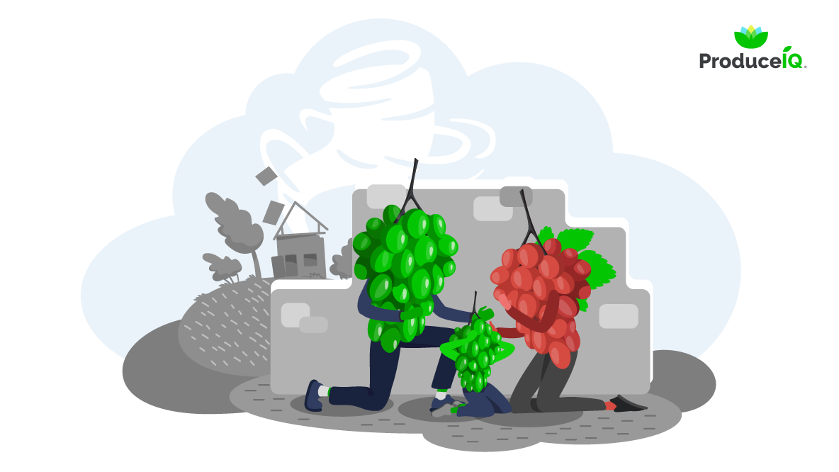 ProduceIQ: Markets face triple threat