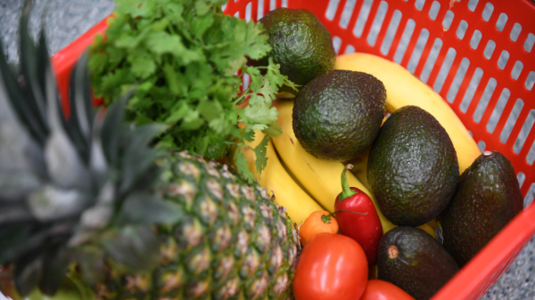 HAB study shows how avocados influence SNAP/WIC shopping