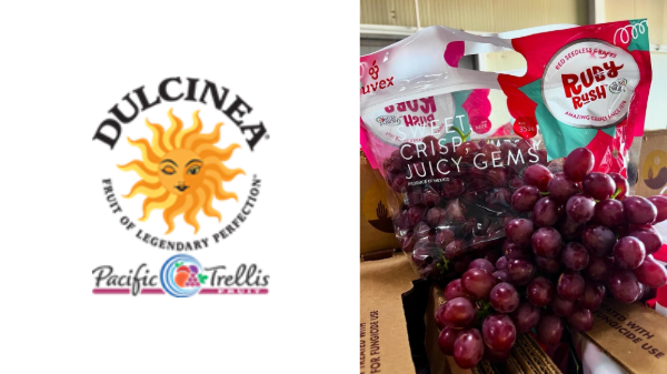 Pacific Trellis partners with Mexican grape grower
