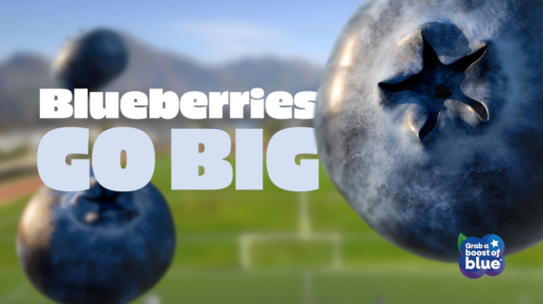 New consumer marketing campaign for U.S. Highbush Blueberry Council