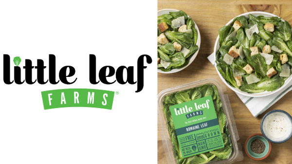 Little Leaf Farms introduces Romaine lettuce