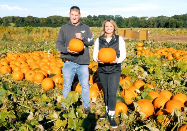 Pumpkins and winter squash in the autumn spotlight for Todd Greiner Farms