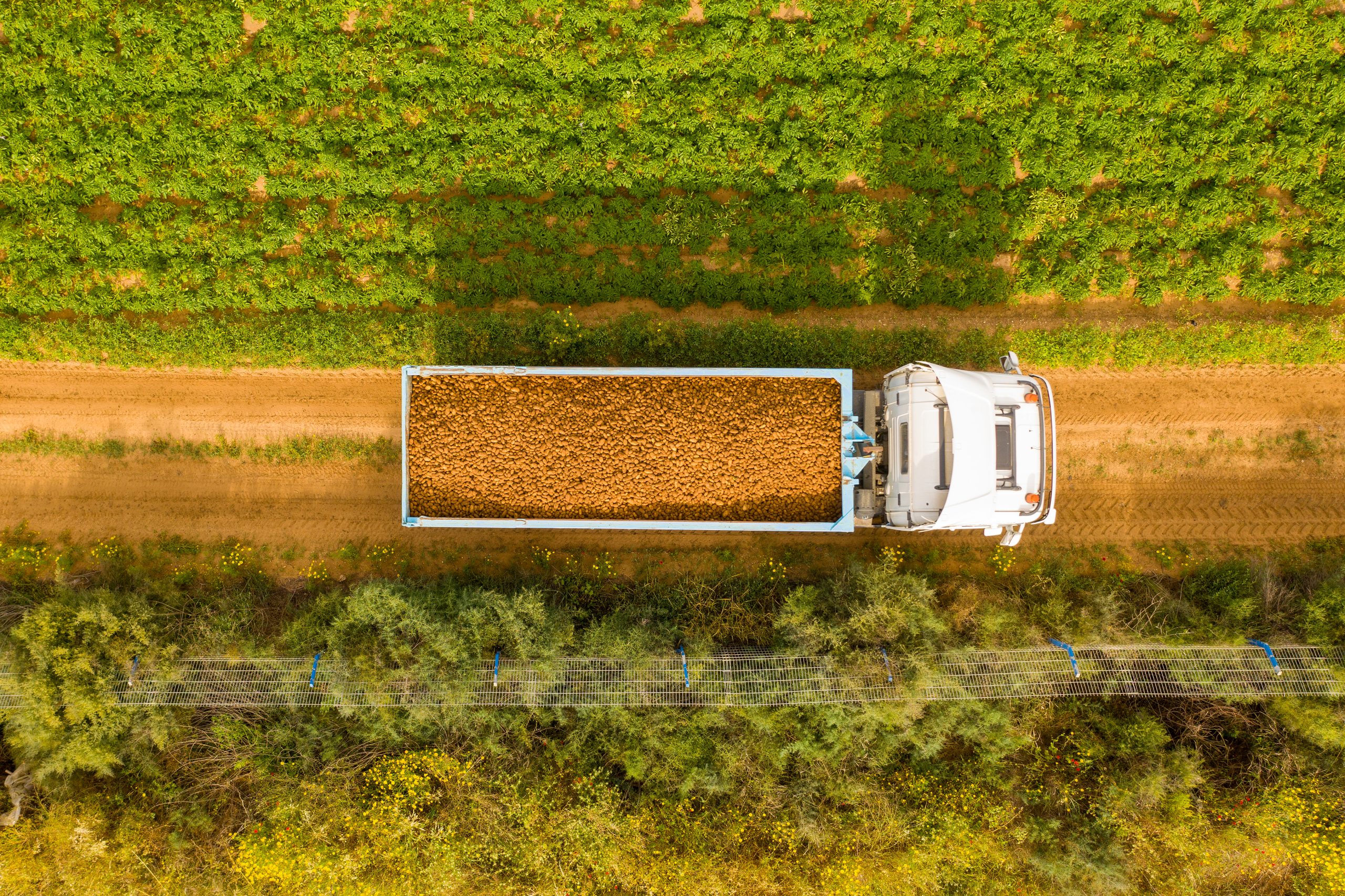 Spotlight on the East Coast: Crop and supply notes