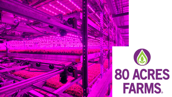 CEA firms 80 Acres and Soli Organic merge