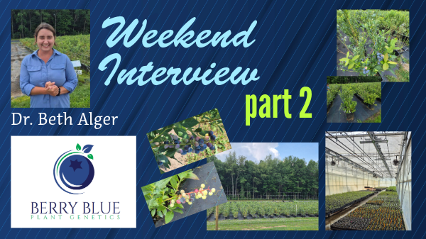 Dr. Beth Alger, Berry Blue, LLC