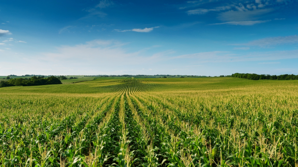 Spotlight on the Midwest: Always within reach