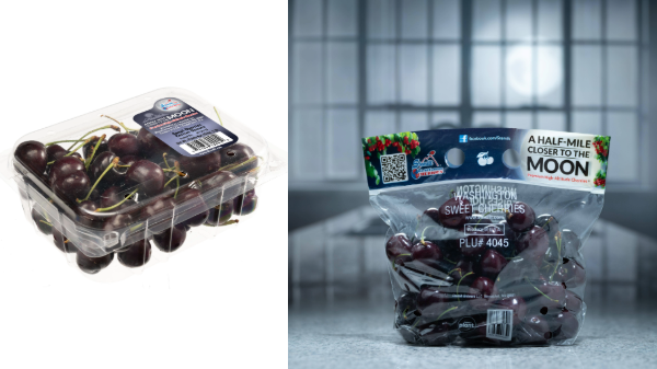 Stemilt now shipping premium high-elevation cherries through mid-September