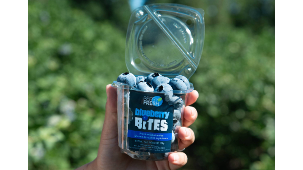 Berry Fresh launches Blueberry Bites snack cups