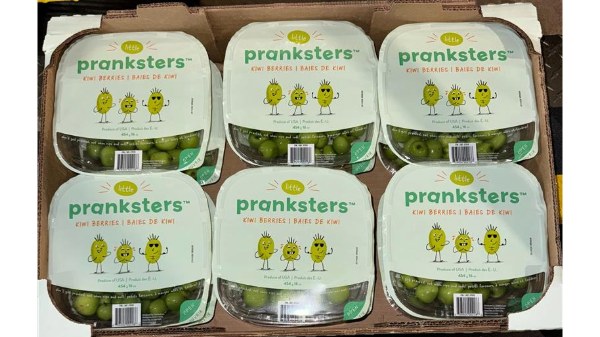 Homegrown Organic Farms kicks off 'Little Pranksters' kiwi berry