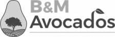 logo-bma-300px
