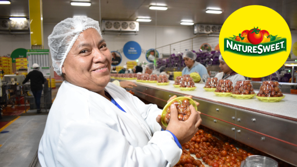 NatureSweet releases 2024 Sustainability Report