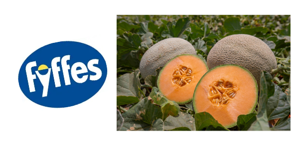 Fyffes outlines streamlined portfolio for strategic growth