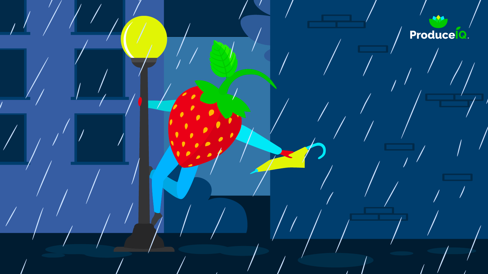 ProduceIQ: Produce markets sing in the rain