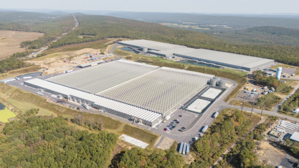 Little Leaf Farms expands PA greenhouse, making it largest CEA leafy greens site in the world