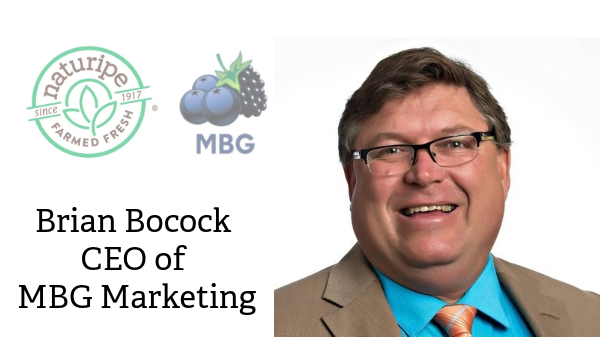 MBG Marketing names new CEO