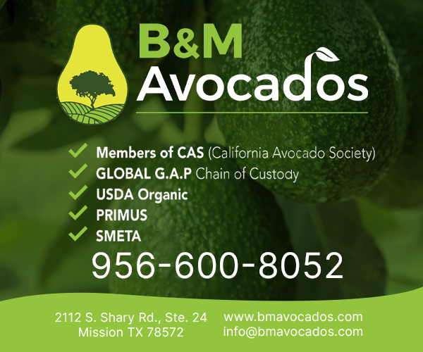 B M Avocados - 300x250