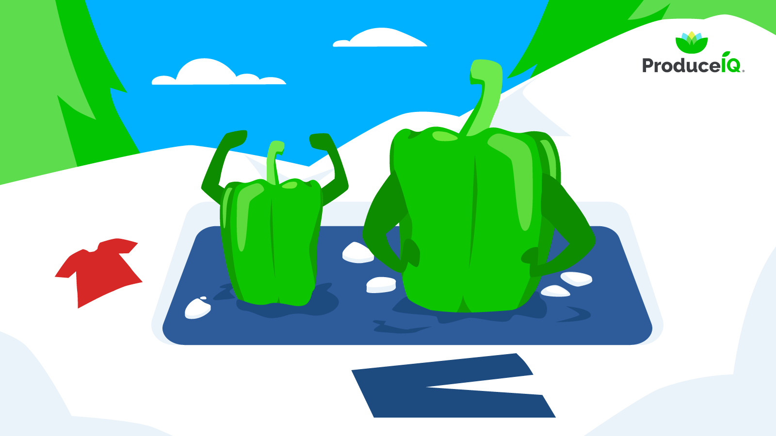 ProduceIQ: Shutdown nears end, but produce markets face new chill
