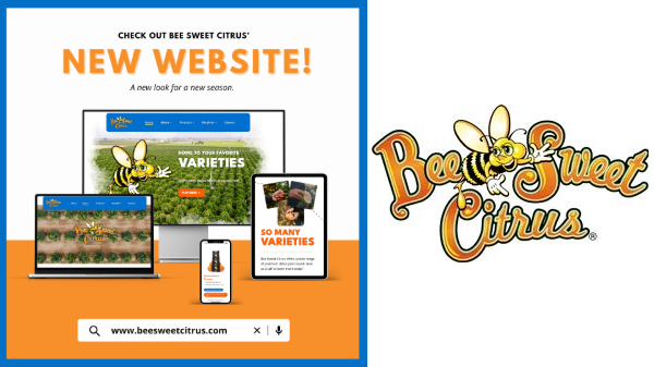 Bee Sweet Citrus starts citrus season with new website