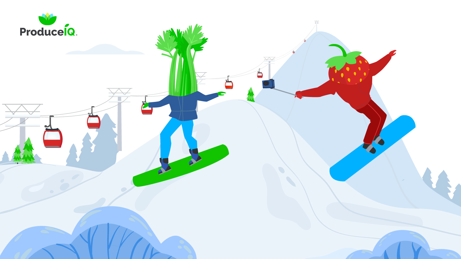 ProduceIQ: Markets end volatile 2025 on calmer footing