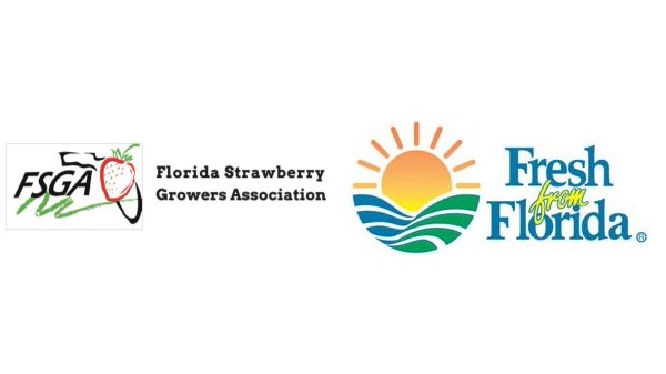 Florida strawberry growers start season with new marketing campaign