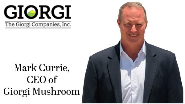 Giorgi Mushroom Company invests in regenerative agriculture