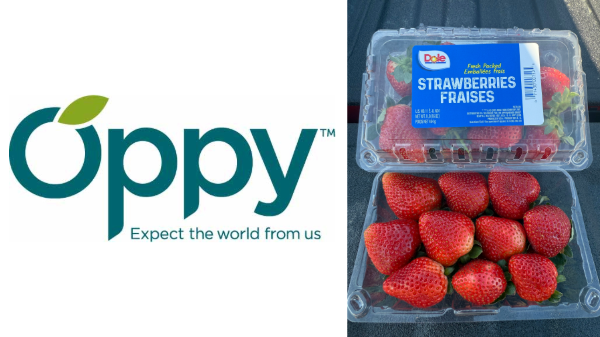 Oppy launches Dole-branded Florida strawberry program - Blue Book