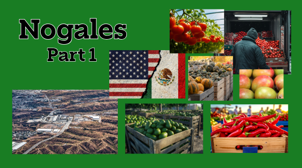 Nogales, Part 1: Import & Trade Report