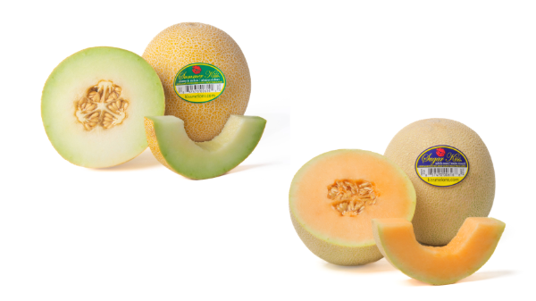 Legend Produce launches winter specialty melon program - Blue Book