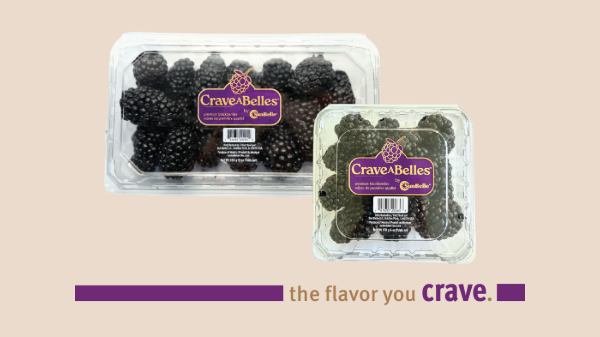 Sun Belle launches premium blackberry label