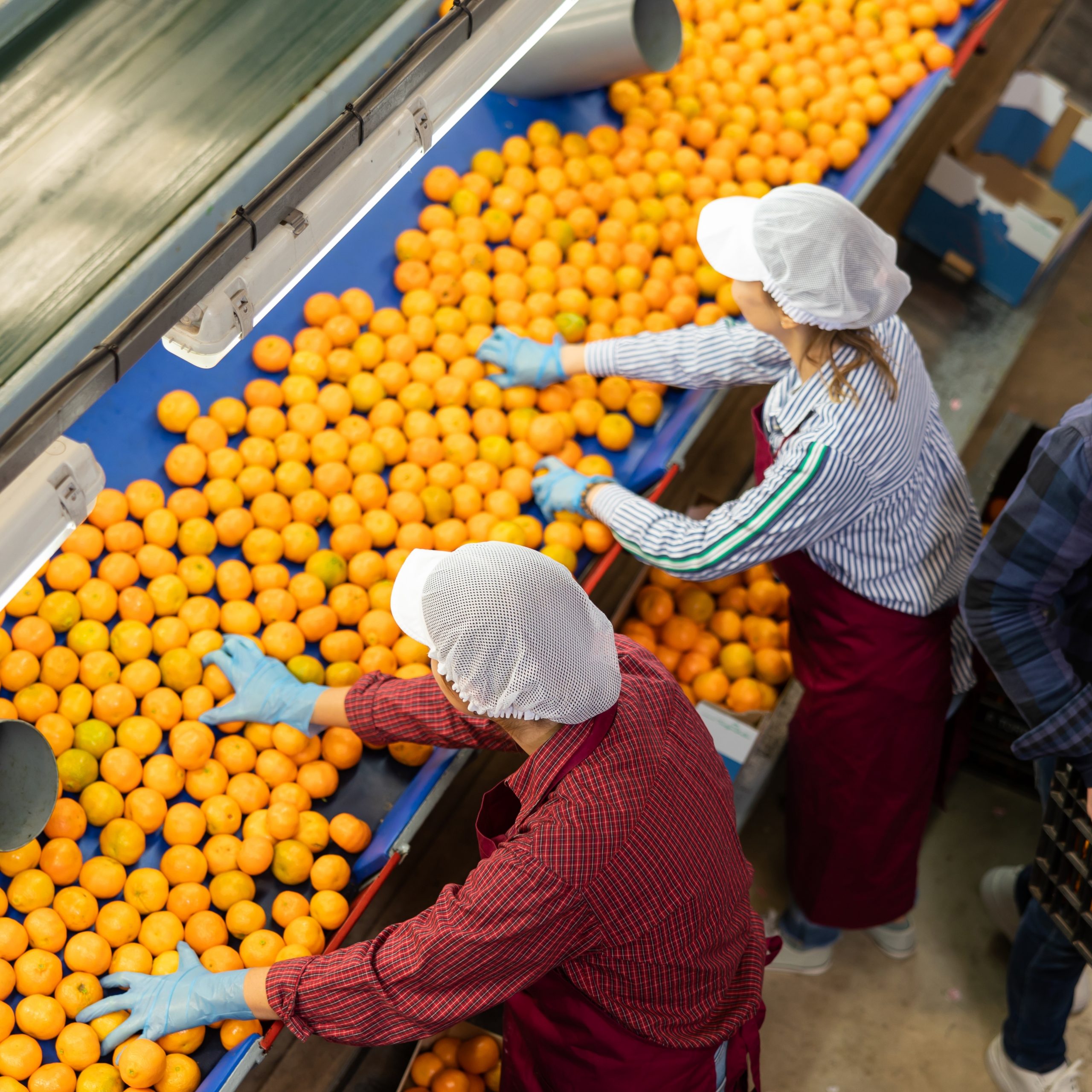 Citrus